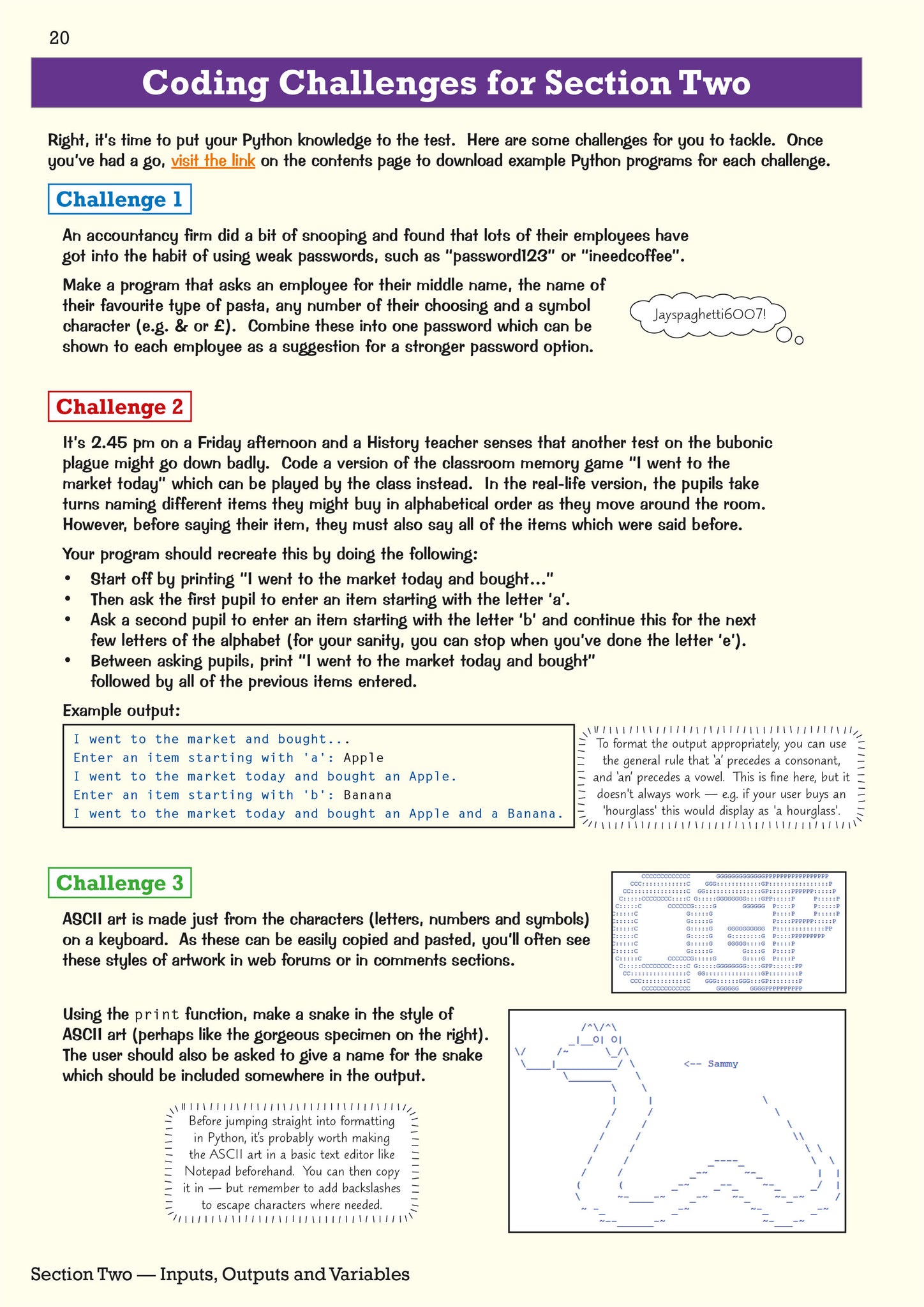 Python Programming Guide for GCSE Computer Science | CGP – Books & Goods