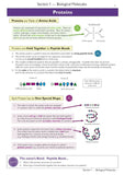 Head Start to A-Level Biology CGP