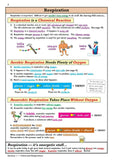 KS3 Years 7-9 Science Study Guide and Workbook with Answer FOUNDATION CGP