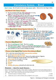 New GCSE Physics Chemistry Biology Edexcel Revision Guide KS4 Science CGP 2022