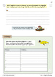KS2 Year 6 English Targeted Question Book Reading with Answer  CGP