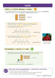 Head Start to A-Level Biology CGP