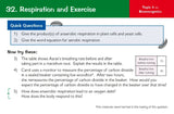 9-1 GCSE Combined Science: Biology AQA Revision Question Cards CGP