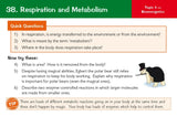 Grade 9-1 GCSE Biology AQA Revision Question Cards CGP