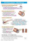 New GCSE Combined Science Edexcel Revision Guide - Higher KS4 CGP 2022