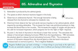 Edexcel 9-1 GCSE Science All 3 Revision Question Cards Years 10-11 CGP