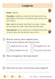 KS1 Year 1 English Targeted Reading Comprehension 1, 2 and Stretch with ANSWERS
