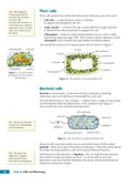 Edexcel Grade 9-1 GCSE Biology Student Book with Answer and Online Edition CGP